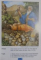 101 INTAMPLARI PREFERATE DIN BIBLIE de URA MILLER , ILUSTRATII DE DEBORAH HOERNER