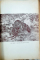 ALMANAHUL VANATORULUI PE ANUL 1950 EDITAT DE ASOCIATIA GENRALA A VANATORILOR DIN R.P.R.