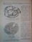 ANATOMIA ANIMALELOR DOMESTICE de D. M. AVTOCRATOV , 1952