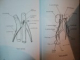 ANATOMIA OMULUI , APARATUL GENITAL de G. LUPU , Bucuresti 2007 *PREZINTA SUBLINIERI IN TEXT