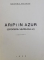 ARIPI IN  AZUR ( EPOPEEA VAZDUHULUI ) de GEORGE BUZNEA , 1935