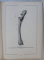 ATLAS DE ANATOMIE COMPARATIVA de VASILE GHETIE, EUGEN PASTEA ,ILIE RIGA 1954 ,2 VOL