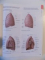 ATLAS DE ANATOMIE , NOMENCLATURA LATINA de ANNE M. GILROY , BRIAN R. MACPHERSON , LAWRENCE M. ROSS , 2010