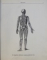 ATLAS DE ANATOMIE UMANA VOL.I BUCURESTI 1984-R.D.SINELNIKOV