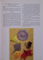 AVIOANE DIN HARTIE, ORIGAMI de NICK ROBINSON, 2009 * MICI DEFECTE COTOR