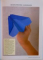 AVIOANE DIN HARTIE, ORIGAMI de NICK ROBINSON, 2009 * MICI DEFECTE COTOR