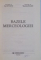 BAZELE MERCEOLOGIEI de ION STANCIU , MARIETA OLARU , 1999