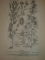 BOTANICA de GH. ANGHEL , A. NYARADY , M. PAUN , ST. GRIGORE , 1975
