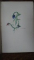 Caiet manuscris, poezii si note 1929
