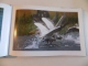 CANTECUL LEBEDEI MUTE , SONG OF THE MUTE SWAN , DAS LIED DES STUMMEN SCHWANS (ALBUM FOTO DIN DELTA DUNARII) de HELMUT IGNAT , 2009