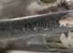 Carafa Wmf din cristal si metal argintat, cca. 1900