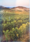 CARTEA VINURILOR ROMANESTI, THE WINE BOOK OF ROMANIA 2015 - 2016 de MARINELA VASILICA ARDELEAN
