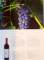 CARTEA VINURILOR ROMANESTI, THE WINE BOOK OF ROMANIA 2015 - 2016 de MARINELA VASILICA ARDELEAN