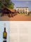 CARTEA VINURILOR ROMANESTI, THE WINE BOOK OF ROMANIA 2015 - 2016 de MARINELA VASILICA ARDELEAN