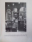 CASTEL PELES 1883- 1933