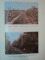 CERCETAREA STIINTIFICA IN SLUJBA PRODUCTIEI POMICOLE 1969 - 1989 , 1989