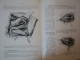 CHIRURGIA PANCREASULUI. TACTICA SI TEHNICA de I. JUVARA, I. FUX, AL. PRISCU  1957