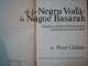 DE LA NEGRU VODA LA NEAGOE BASARAB de PAVEL CHIHAIA , 1976