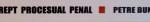 DREPT PROCESUAL PENAL, PARTEA GENERALA de PETRE BUNECI, 2008