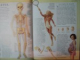 ENCICLOPEDIA ILUSTRATA A CUNOASTERII * COTOR UZAT