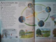ENCICLOPEDIA ILUSTRATA A CUNOASTERII * COTOR UZAT