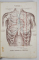 EXERCITII PRACTICE DE AUSCULTATIUNE, PLAMANI, INIMA, ARTERE de DOCTORUL LEON VAIAN,1919