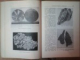 GEOLOGIE PENTRU MUNCITORII DIN INDUSTRIA EXTRACTIVA de FILOMEN SAVIN , IOAN CISMAS , Bucuresti 1964
