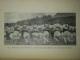 JOCURILE NATIONALE ROMANESTI de G.T. NICULESCU VARONE,Bucuresti 1938