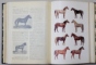 MAREA ENCICLOPEDIE AGRICOLA, VOL. I, A-C (AB - CAZEOS) de C. FILIPESCU 1937
