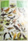 PETIT LAROUSSE ILLUSTRE  , 1976
