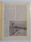 REVISTA CARPATII, VANATOARE, PESCUIT, CHINOLOGIE, ANUL IX , 15 AUGUST  1941, NR. 8