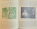 REVISTA ''CINEMA'', NR. 151-154, ANUL VIII 1931