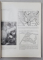 REVISTA ''SOCIOLOGIE ROMANEASCA'', ANUL II, NR. 9-10, SEPTEMBRIE-OCTOMBRIE 1937