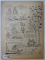 REVISTA VINATORUL SI PESCARUL SPORTIV , ANUL VII , NUMARUL 7 , 1955
