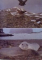 STIINTA PE GHEATA CU CHINEZII IN ANTARTICA de TEODOR  GH. NEGOITA , 2004