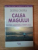 CALEA MAGULUI . DESPRE LIBERTATEA SPIRITUALA de DEEPAK CHOPRA , 2002