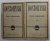 FRATII KARAMAZOV , VOLUMELE I - II de  F.M.DOSTOIEVSKI , 1965