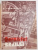 GORNISTUL BRAILEI de N. TEODORESCU , 1992