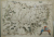 Harta Transilvania, Willem Janszoon Blaeu, 1636
