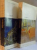 SCRISORI de VINCENT VAN GOGH, VOL.I-II
