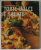 TORTE DOLCI E SALATE , 2007