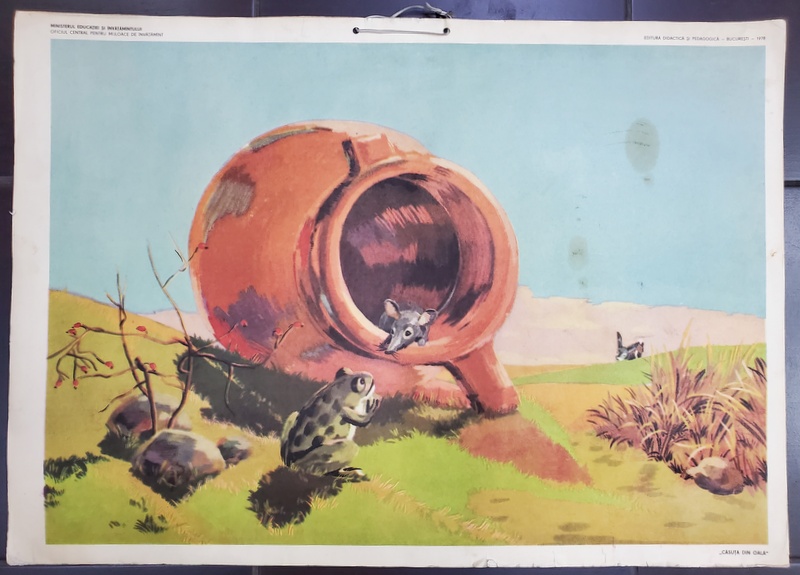'' CASUTA DIN OALA '' , PLANSA DIDACTICA NR. 48 , 1979