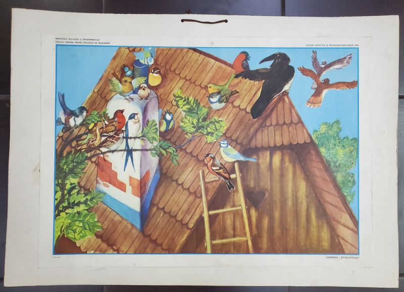 '' LEGENDA STICLETELUI '' , PLANSA DIDACTICA NR. 50 , 1979