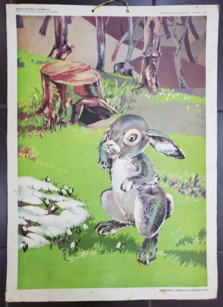 '' RILA IEPURILA SI CARABUSUL CU ARIPIOARE DE AUR '' , PLANSA DIDACTICA NR. 35 , 1979