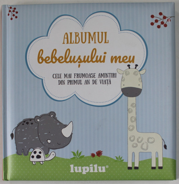ALBUMUL BEBELUSUI MEU , CELE MAI FRUMOASE AMINTIRI DIN PRIMUL ANN DE VIATA , ANII '2000