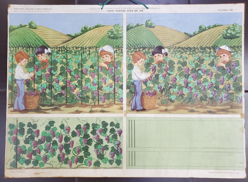 ARACI PENTRU VITA DE VIE  , grafica de ZORINA BILDESCU , PLANSA DIDACTICA NR. 63 , 1984