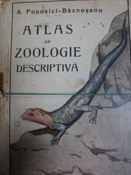 ATLAS DE ZOOLOGIE DESCRIPTIVA - A. POPOVICI BAZNOSANU
