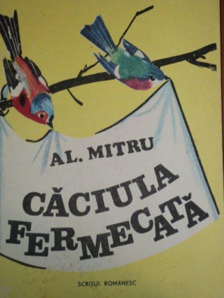CACIULA FERMECATA de AL. MITRU * MICI DEFECTE LA CATEVA FILE
