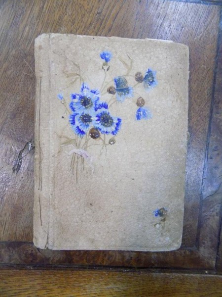 Caiet manuscris colectia familiei Zoe Mandrea nepoata a lui Nicolae Balcescu