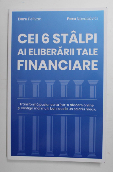 CEI 6 STALPI AI ELIBERARII TALE FINANCIARE de DORU PELIVAN si PERA NOVACOVICI , ANII '2000